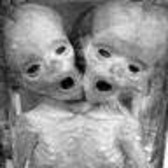 Meet your Posher, Michael - Picture 3 of 4